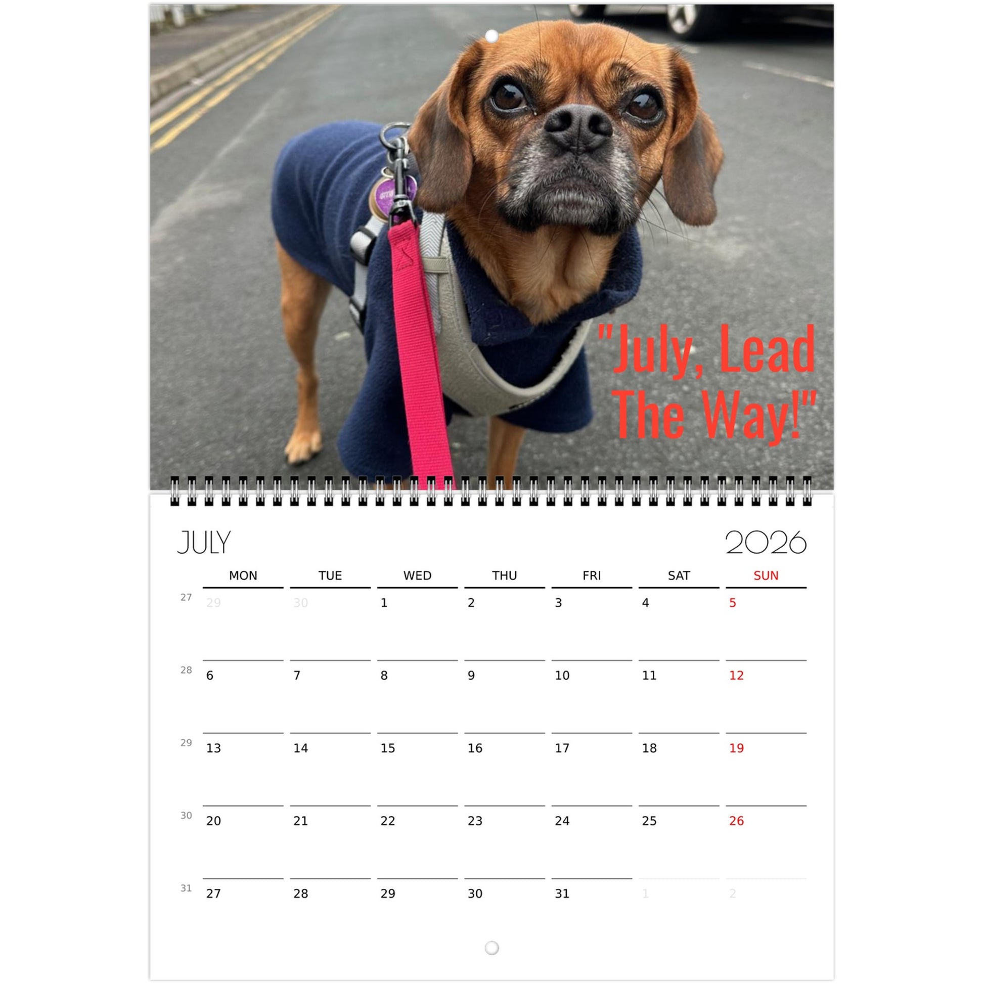 03718397-c471-4b71-8508-7a2531aec278