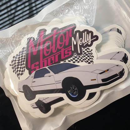 Custom Car Stickers - Photo Drawing