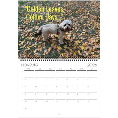 0974a218-5960-409d-b8fd-8cfebe9b8e23