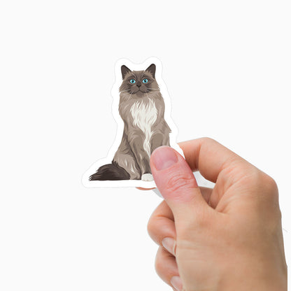 Custom Cat Portrait Stickers