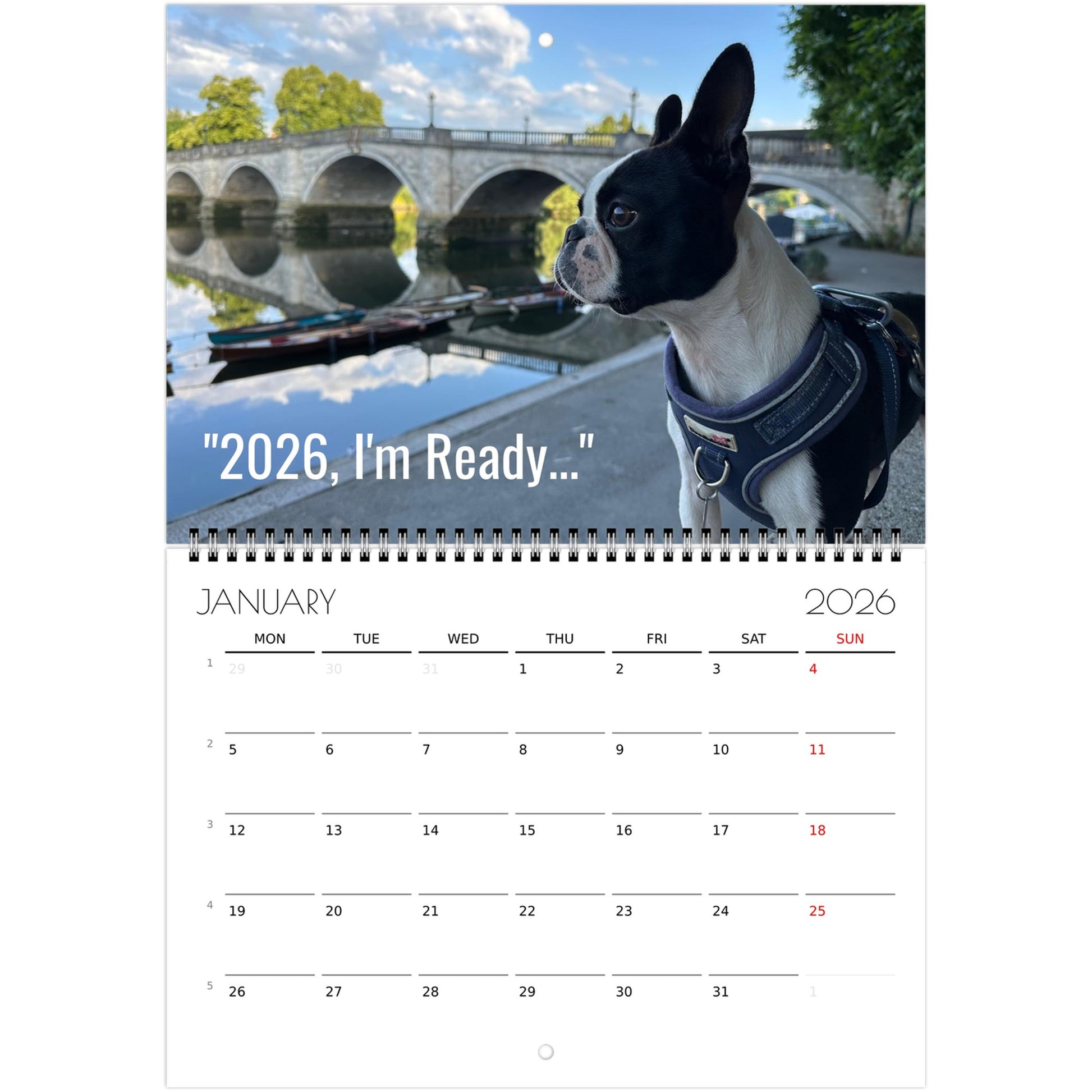 13b546e1-a3a7-4a1a-8e44-a726290972c6