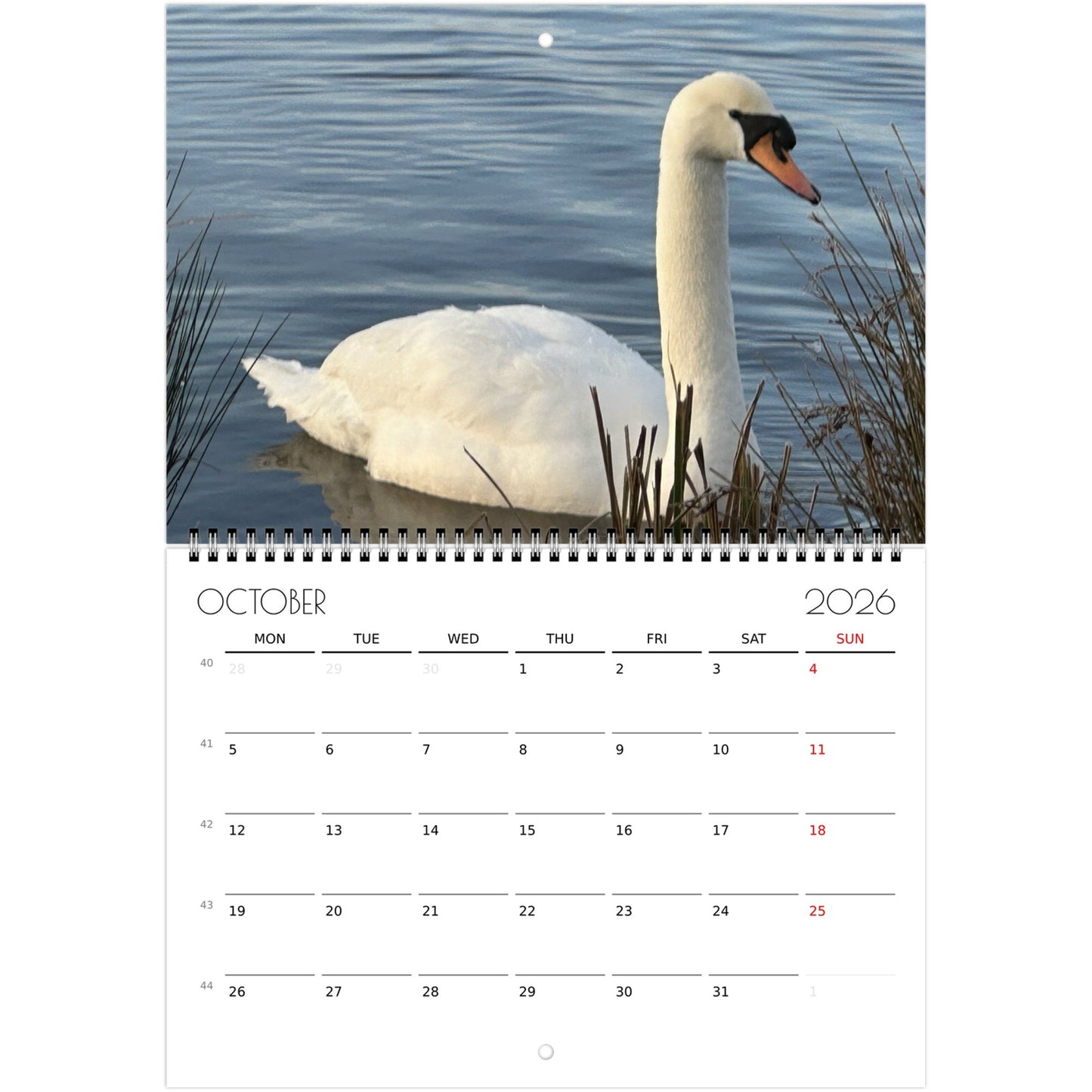 14e9badc-3c60-47f4-af48-c59e4e008ff0