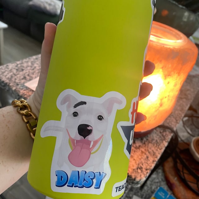 Custom Water Bottle Stickers