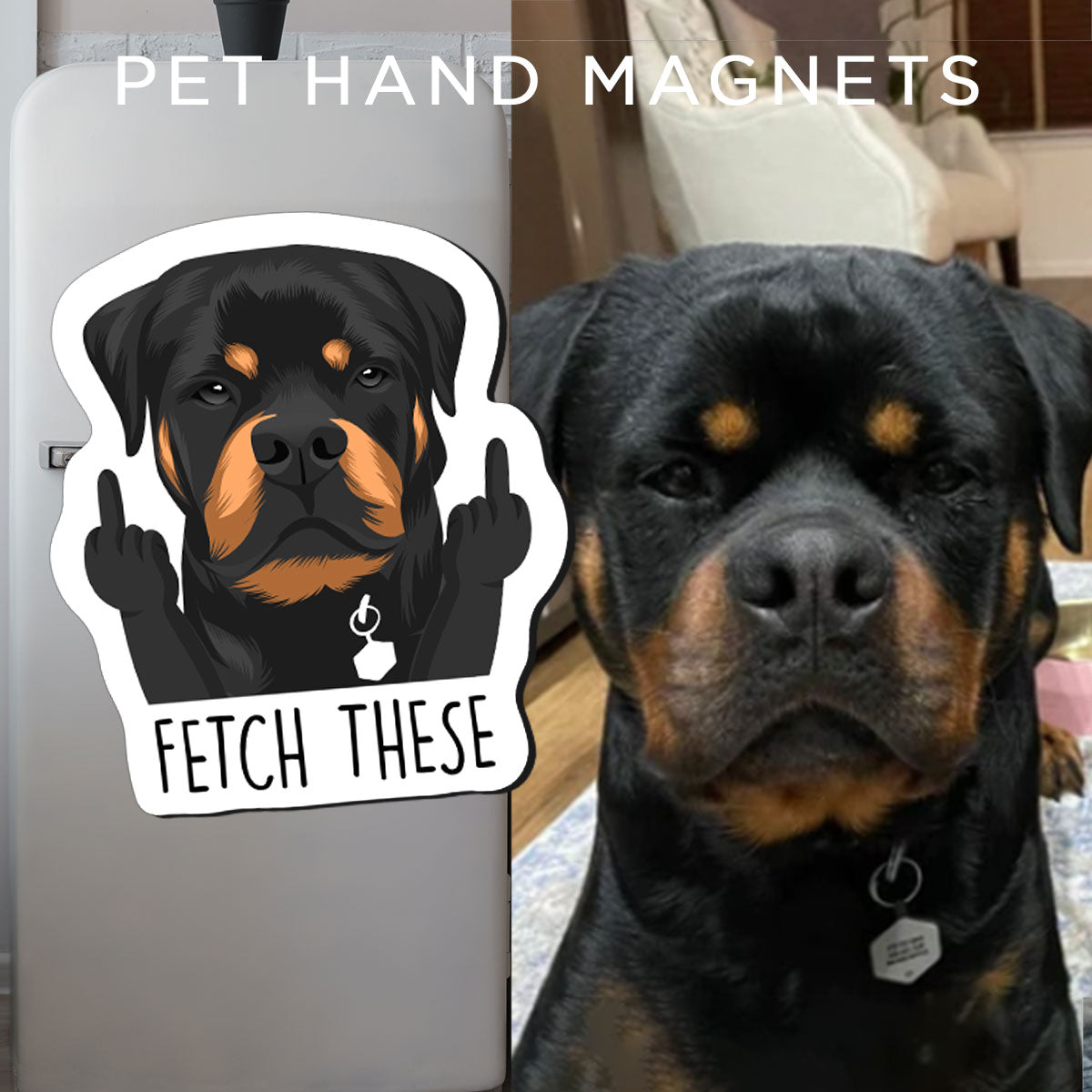 Custom Funny "Fetch These" Dog Magnets