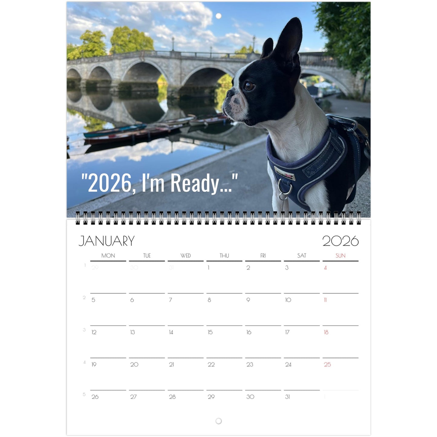 2814504b-a446-4ce7-be24-7f039095b4a6