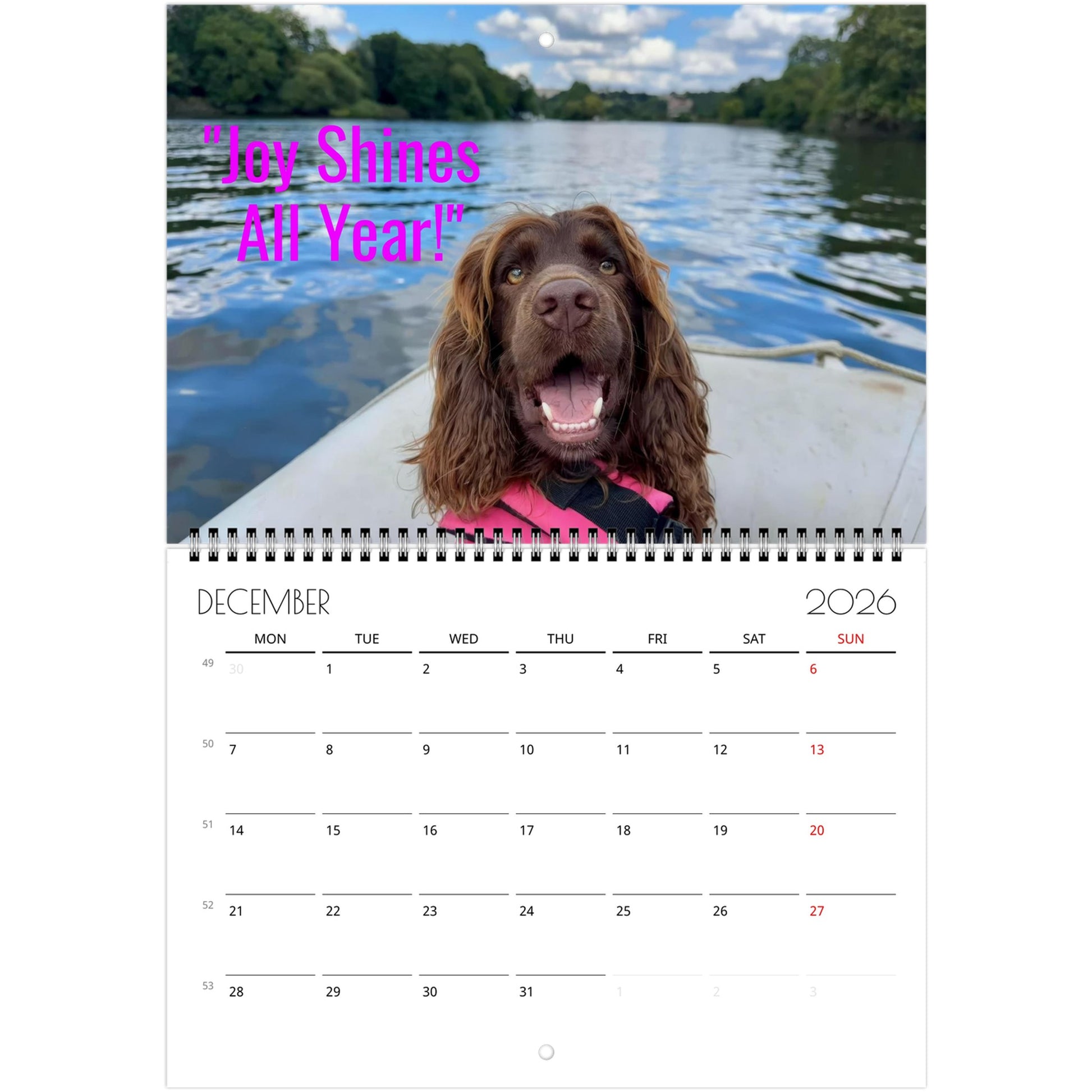 2f1cf09b-9d41-4a77-a651-286423c8164f