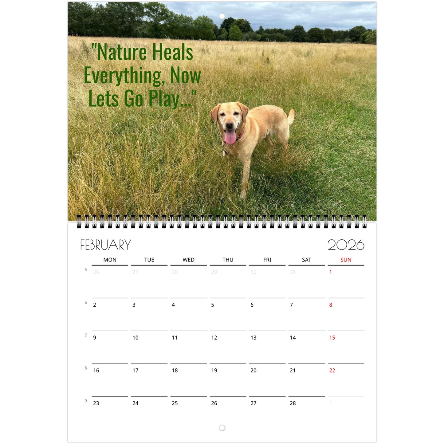 3d2e35bd-fcf4-49e5-8415-bd59a25f2582