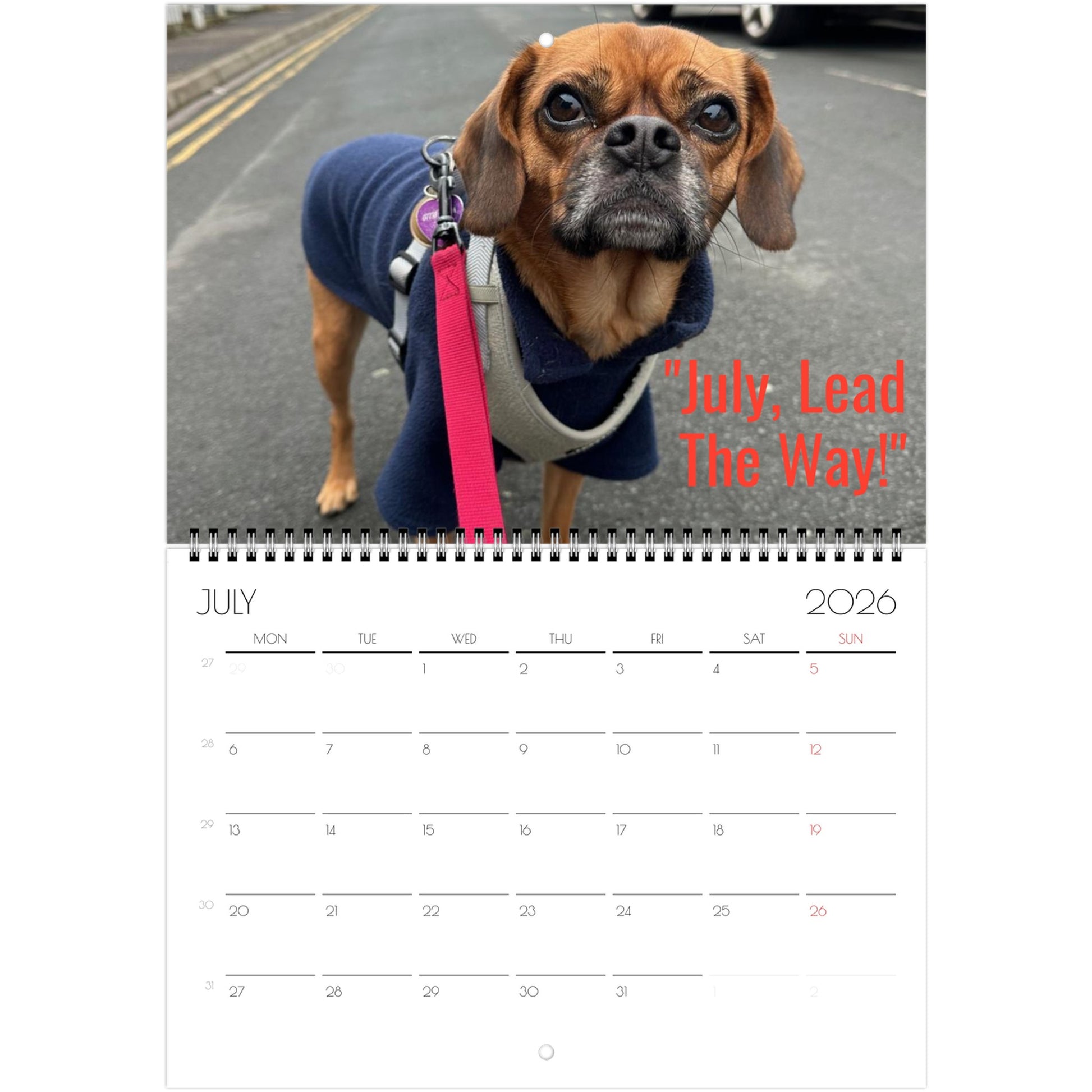 40ed1ed4-083b-407d-bc5c-523d8dfab9e4