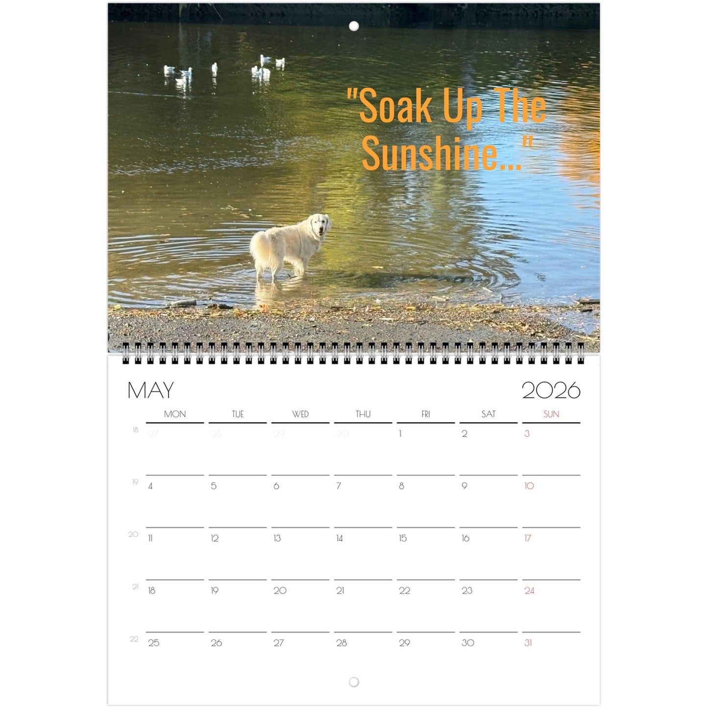 42b79e67-8fe2-45fc-8154-bf1c6fdc7730