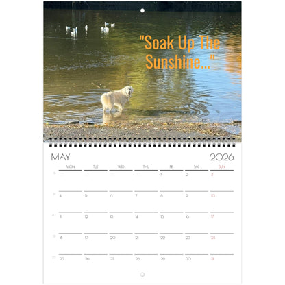 42b79e67-8fe2-45fc-8154-bf1c6fdc7730