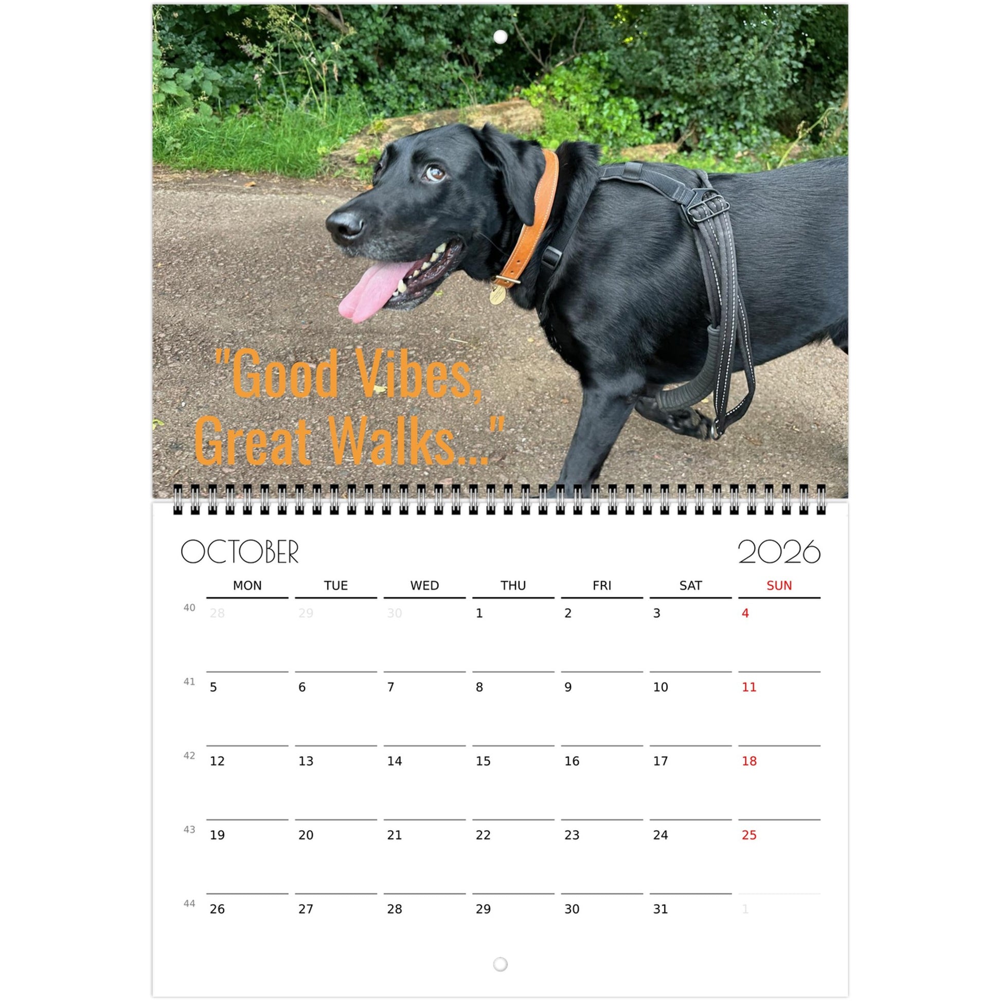 45a37104-aa7f-4940-a5d1-a372bfa25b35