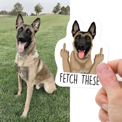 Custom Funny Pet Hand Photo Stickers