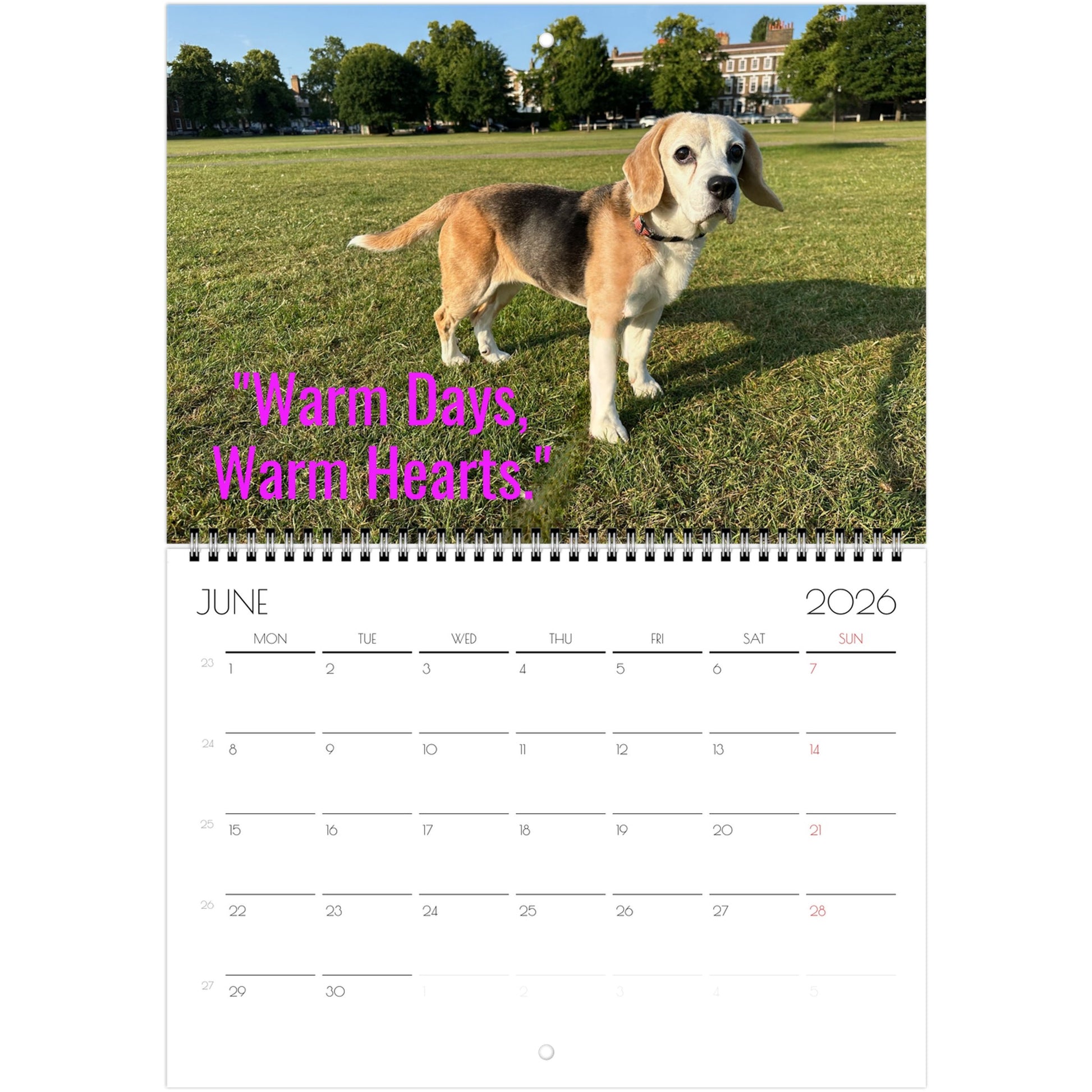 5e2a0261-41c2-4fb4-9753-6adb5a65646b