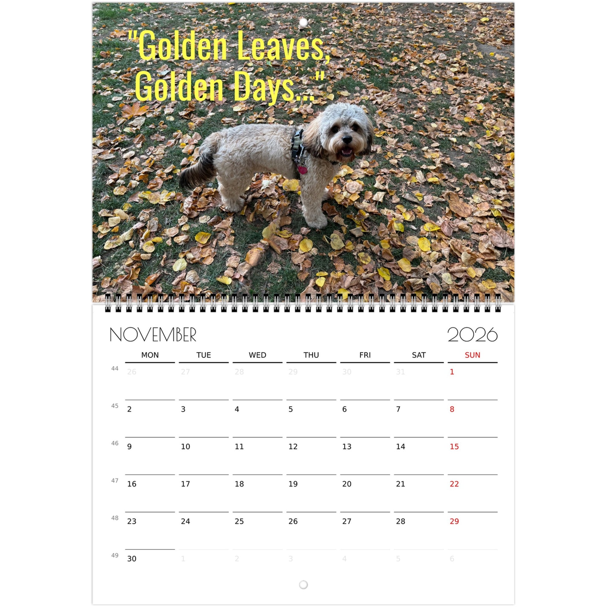 663400bb-4ec3-4924-a094-8d740a57d266