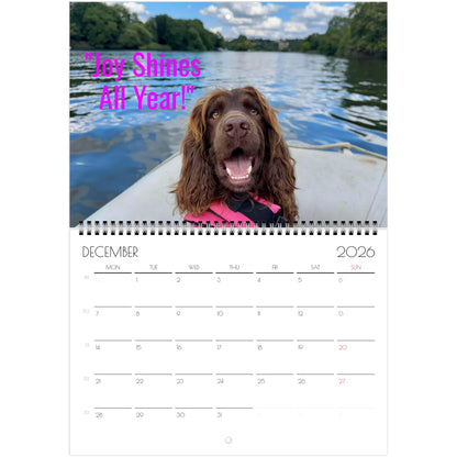 6711012f-236f-4955-9eb4-25dc08094a70