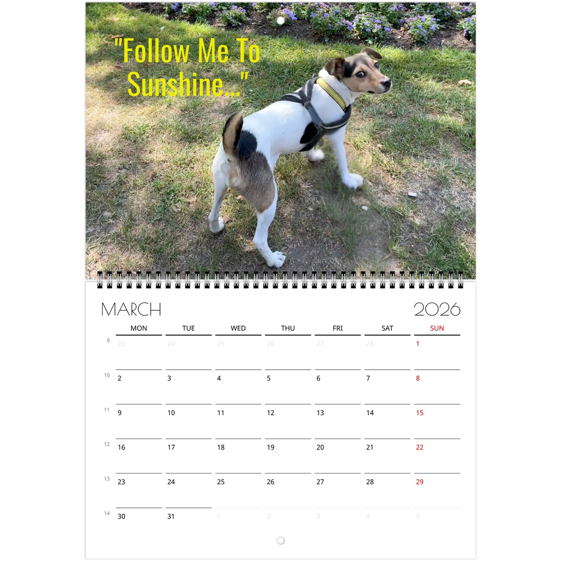 6781da4c-9c22-4981-bbba-7a75a0c6a802