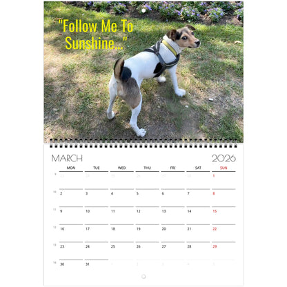 6781da4c-9c22-4981-bbba-7a75a0c6a802