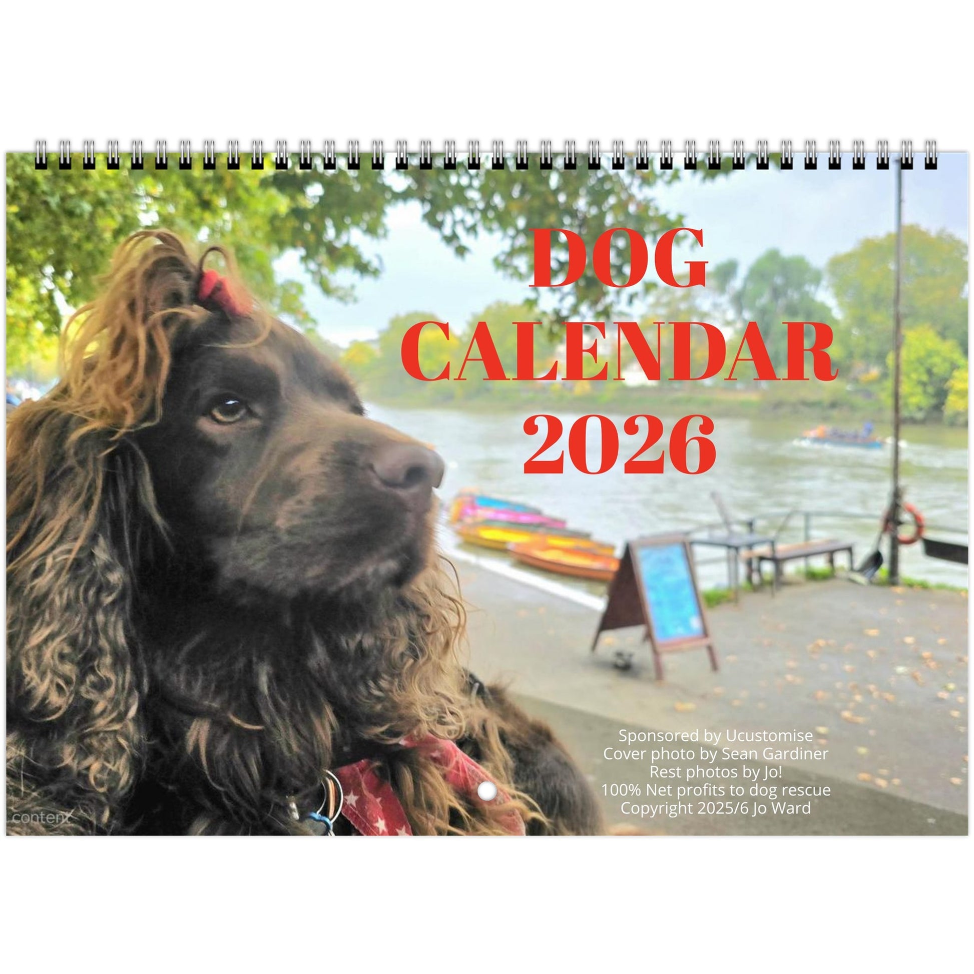 6ba6ea86-7685-44a2-a9a6-9d3f9331055d