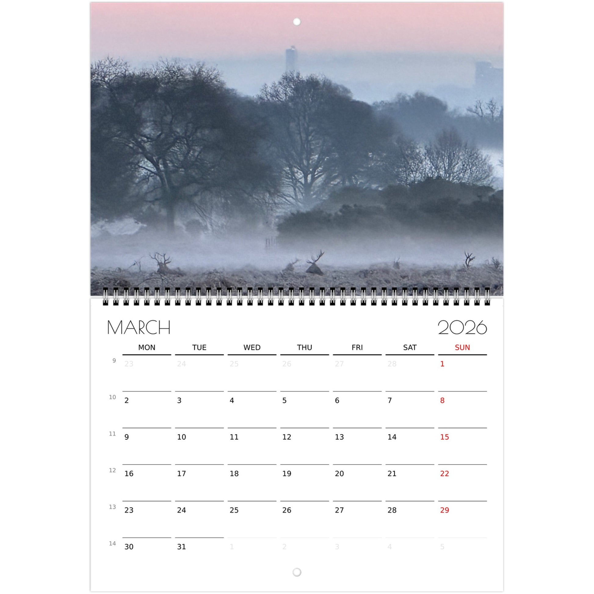 8aa9130e-a608-46d9-818a-fe0f184adf36