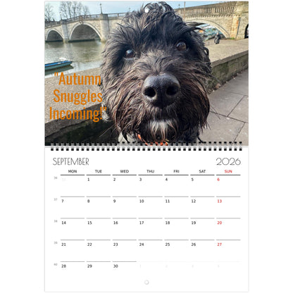 b06a4679-7b79-43a2-a202-7dc7311fb95f