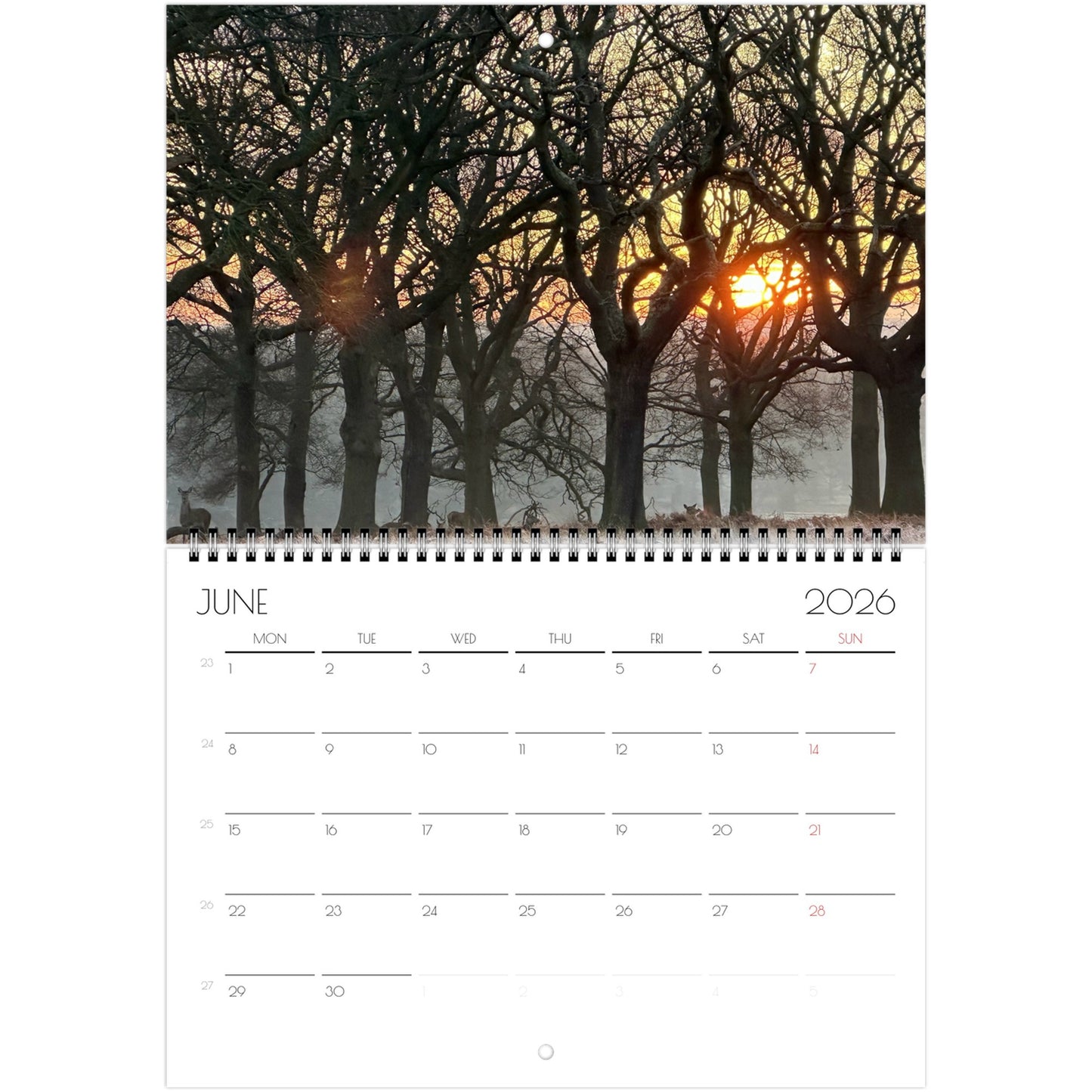 b2b8a4d8-2c83-43c0-908a-9920b28b7c2a