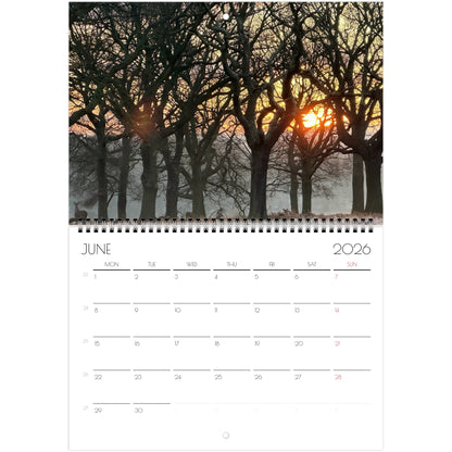 b2b8a4d8-2c83-43c0-908a-9920b28b7c2a