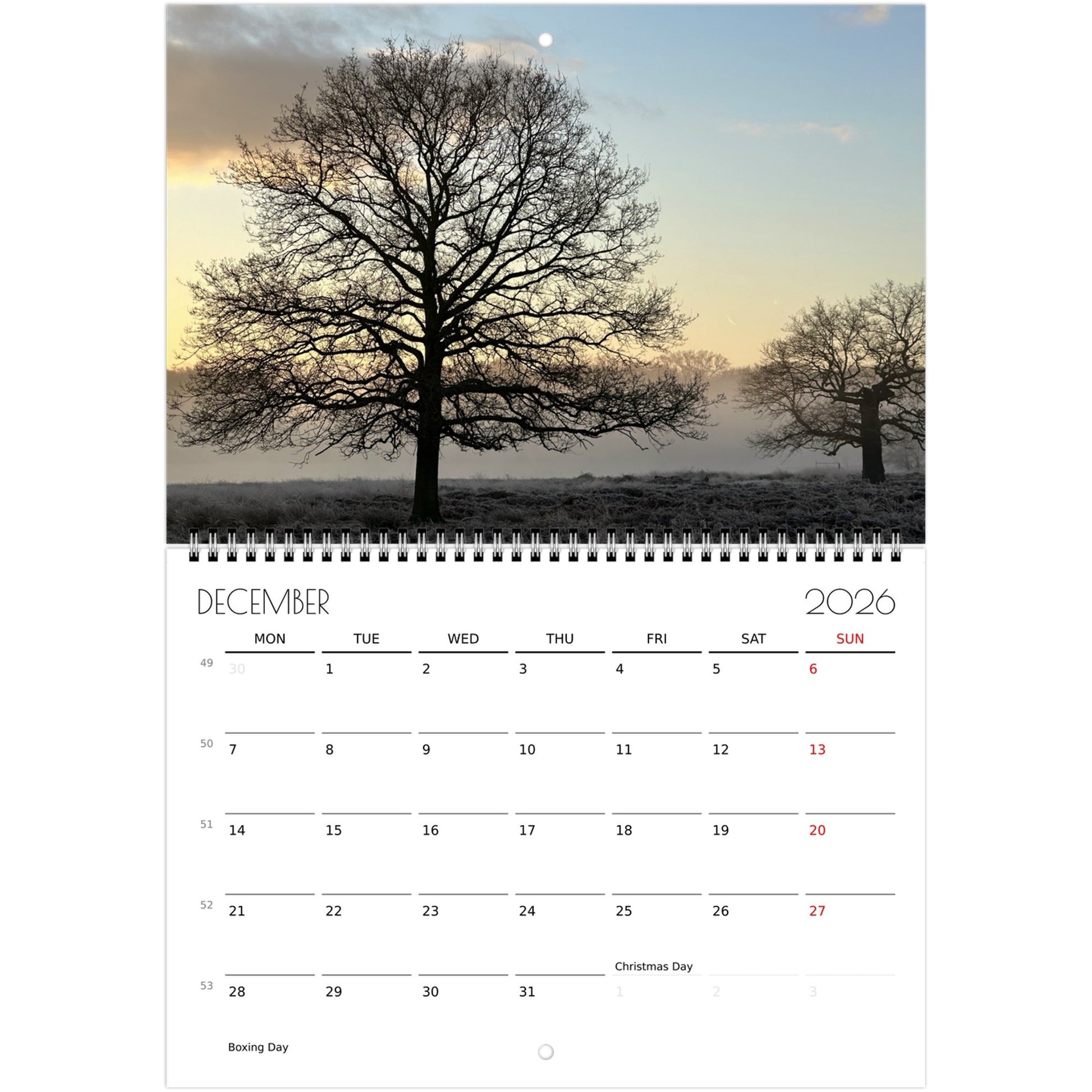 bd58602c-ce13-4aab-8704-c66bb7135830