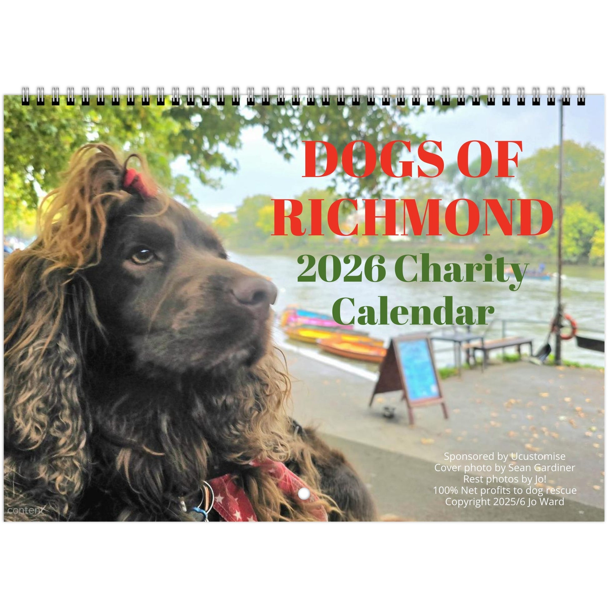 c2869843-f313-4b80-8b4d-7157dd071ac8