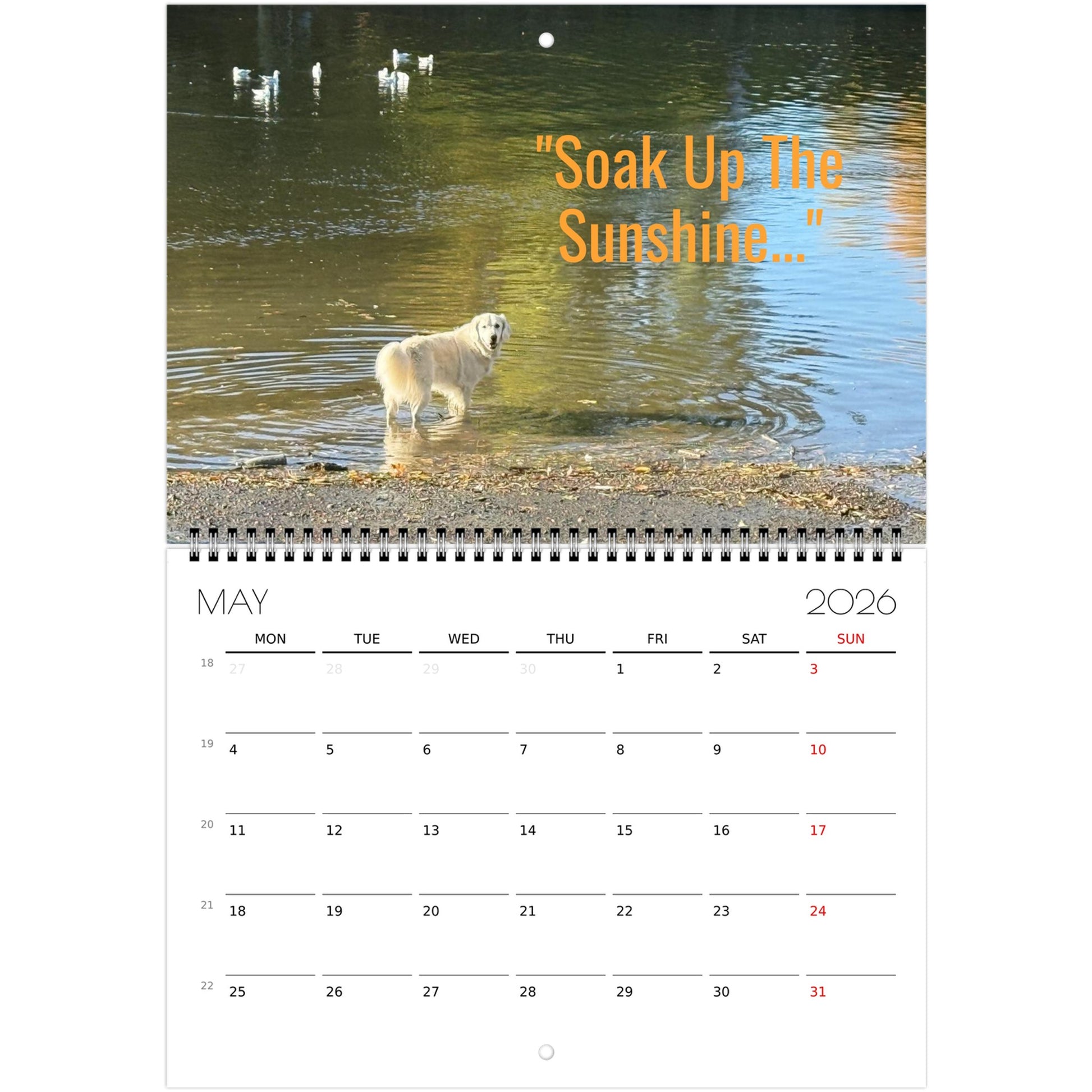 d4f39cdc-b01f-4606-8025-12df1728b070