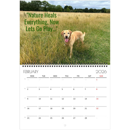 d5296d51-cc68-4de1-9a06-187d14201b65