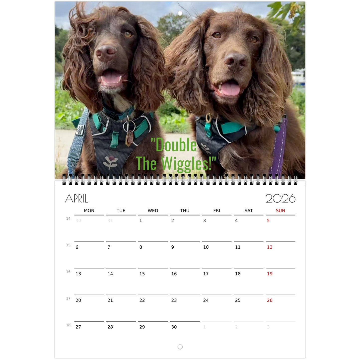 dd0e6077-d5ea-4a0e-a8d6-33f995ed7107