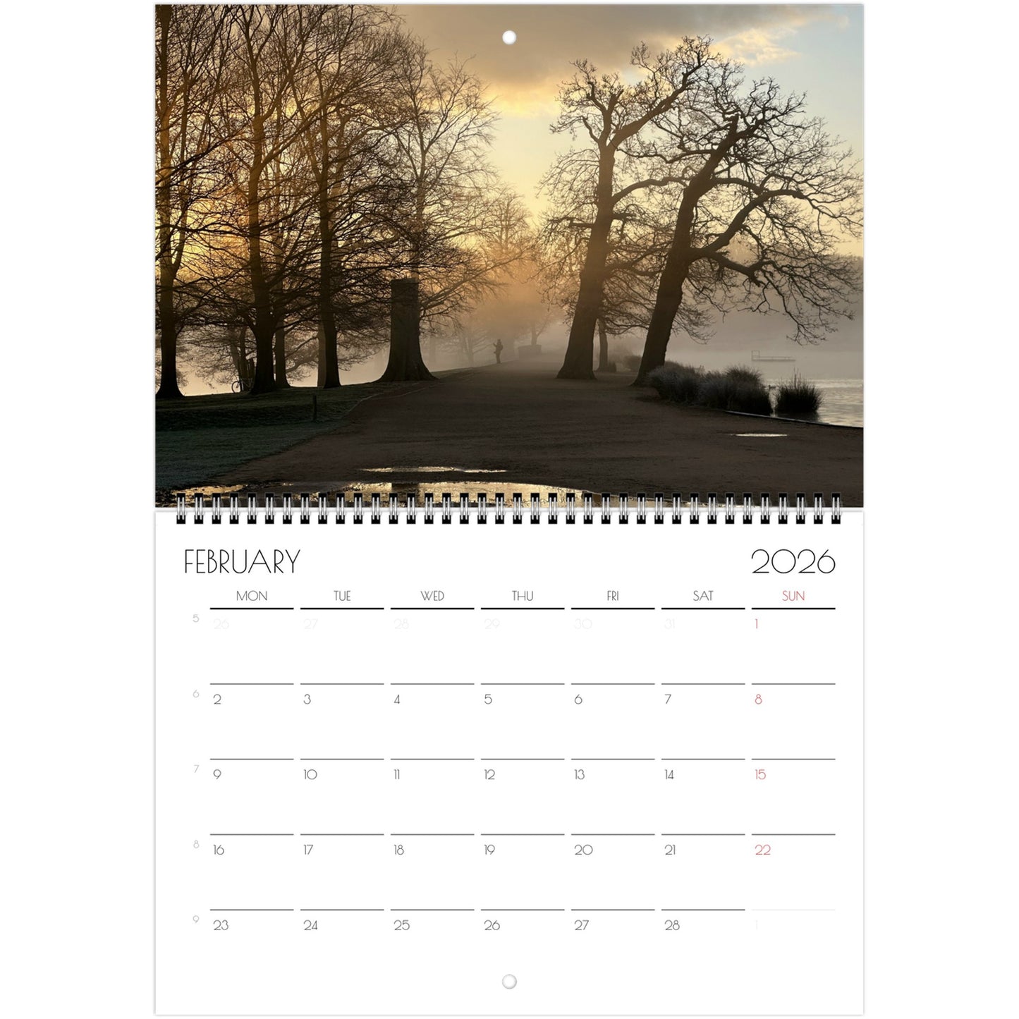 e0f57373-3812-4e21-a611-deca4a5c8877