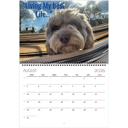 ea94584f-bf88-456b-8158-ce9dcaf30e3f