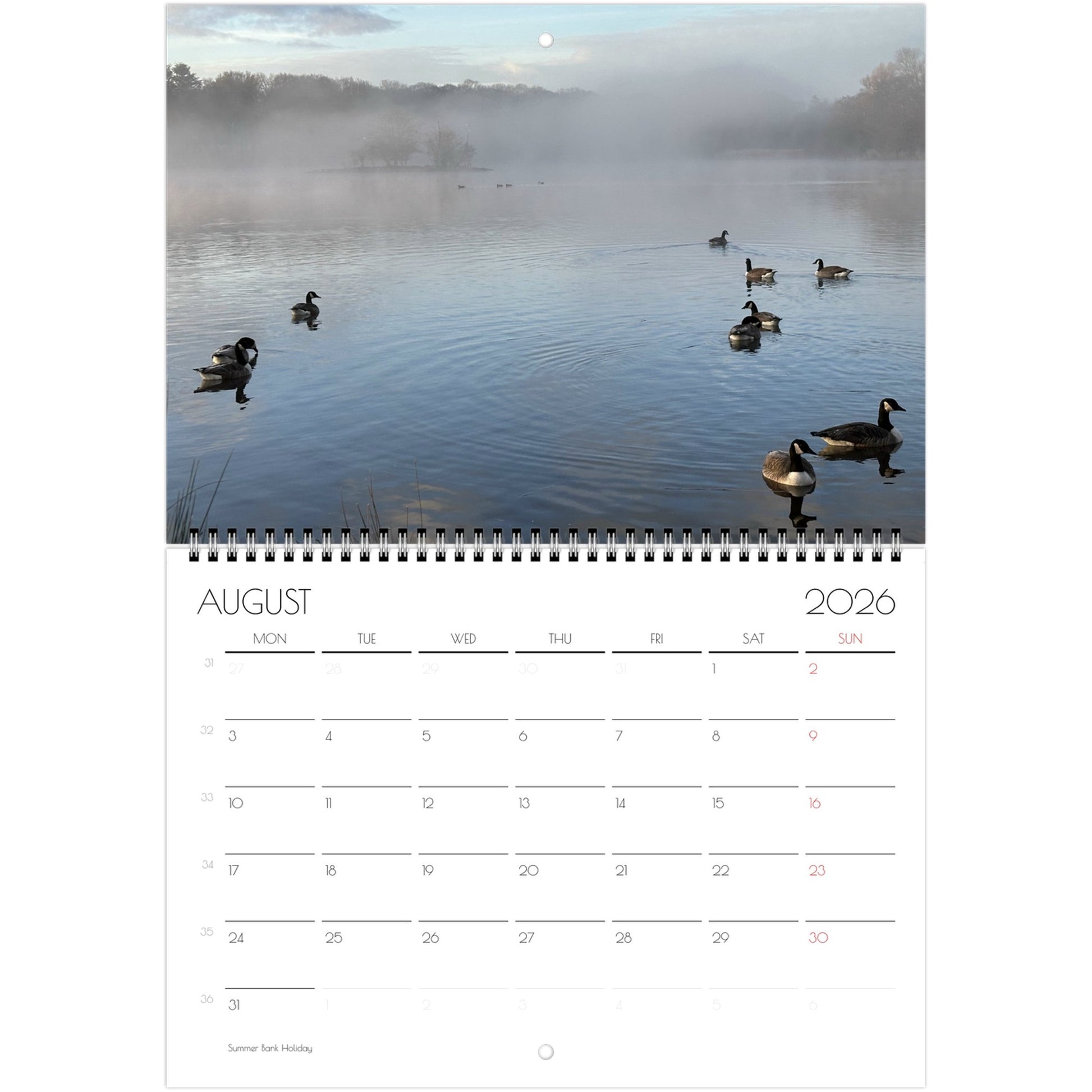 f0f4879c-11ff-40da-92ad-17fbaf2993a0